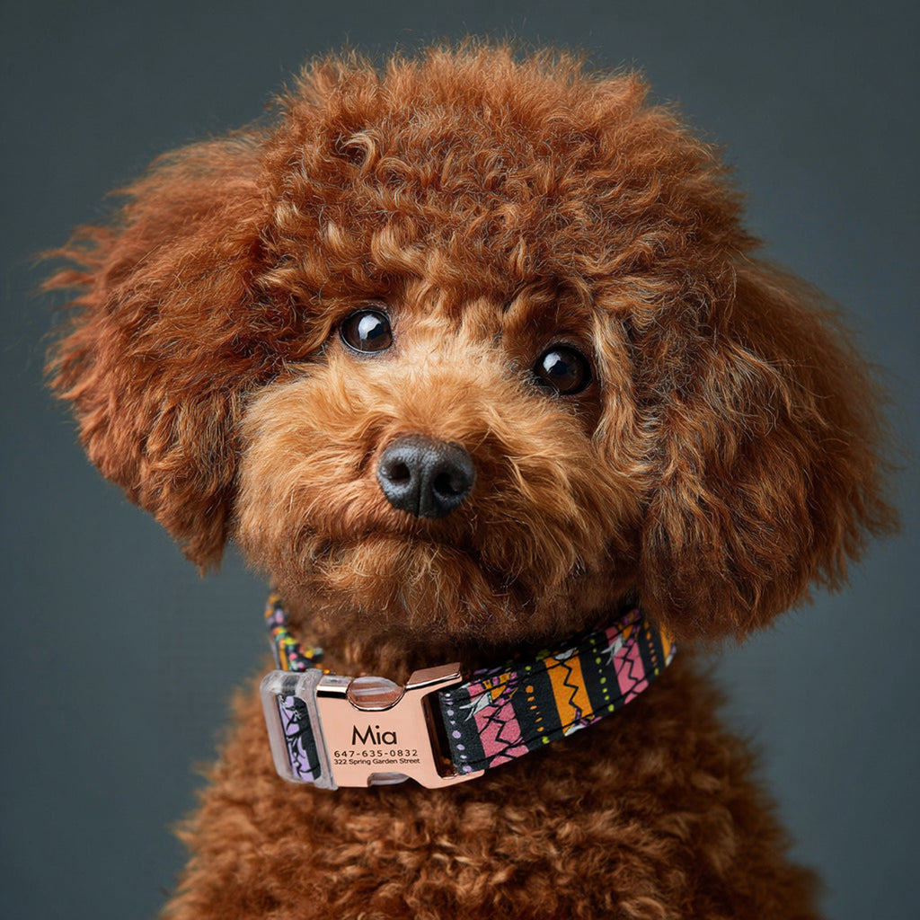 100% Cotton Personalized Dog Collar Engraved Brass The nightmare before Christmas dog wears a collar with rose gold metal buckle