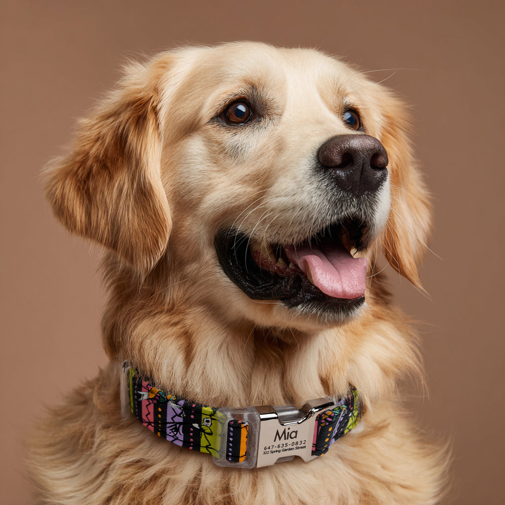 100% Cotton Personalized Dog Collar Engraved Silver The nightmare before Christmas dog wears a collar with silver metal buckle