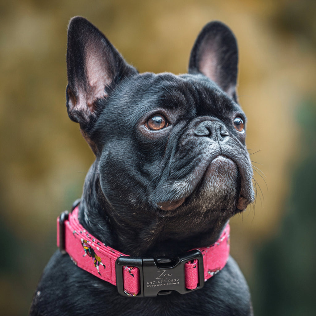 100% Cotton Personalized Dog Collar Engraved Brass Sally the nightmare before Christmas dog wears a collar with black buckle