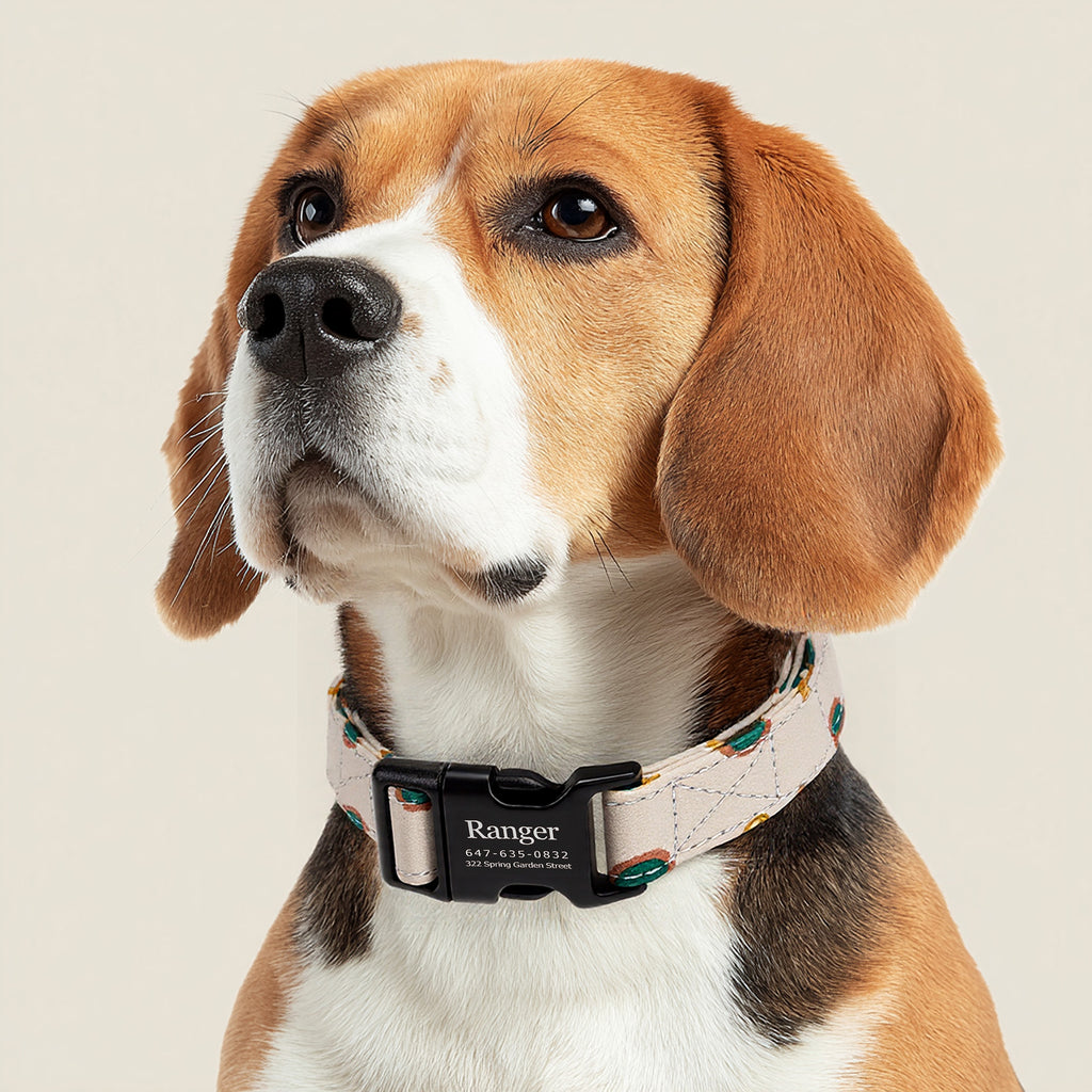 100% Cotton Personalized Dog Collar Engraved Brass The Hobbit  LOTR dog wears a collar with black metal buckle