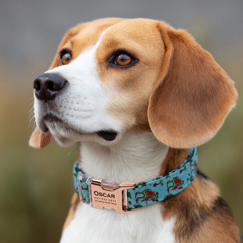 Grinch Dog Collar Personalized Engraved Collar dog wears a collar with rose gold metal buckle
