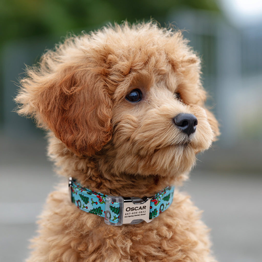 Grinch Dog Collar Personalized Engraved Collar dog wears a collar with silver metal buckle