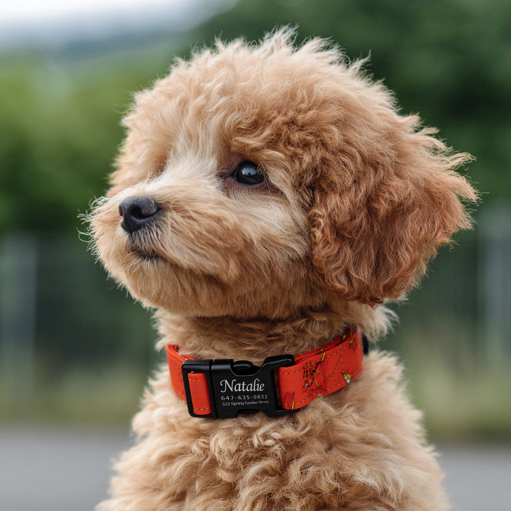 100% Cotton Personalized Dog Collar Silver Metal Engraved Black The Flash dog wears a collar with black metal buckle