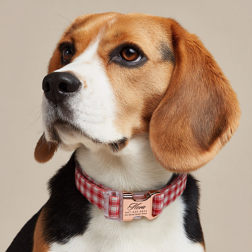 100% Cotton Personalized Dog Collar Black Metal Engraved Black Gingham Orange dog wears a collar with rose gold metal buckle