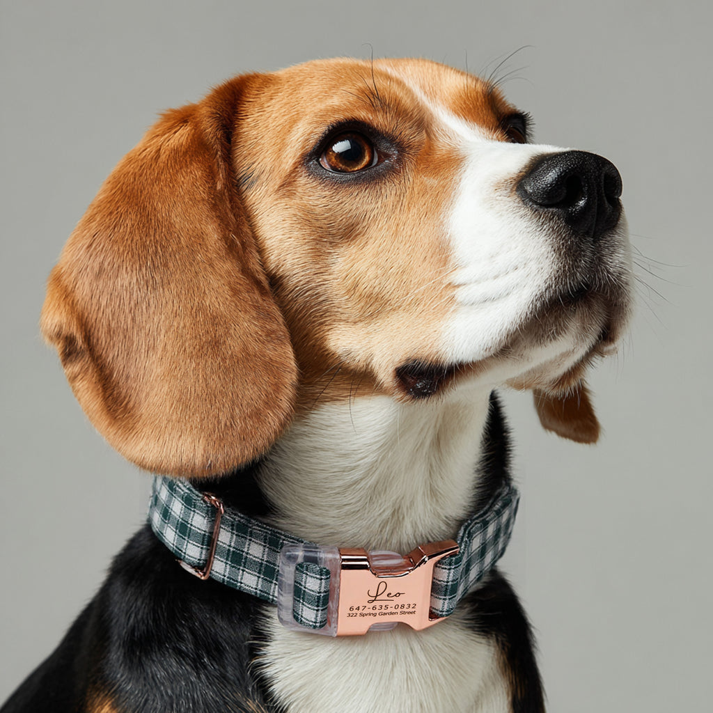 100% Cotton Personalized Dog Collar Black Metal Engraved Black Gingham Green dog wears a collar with rose gold metal buckle