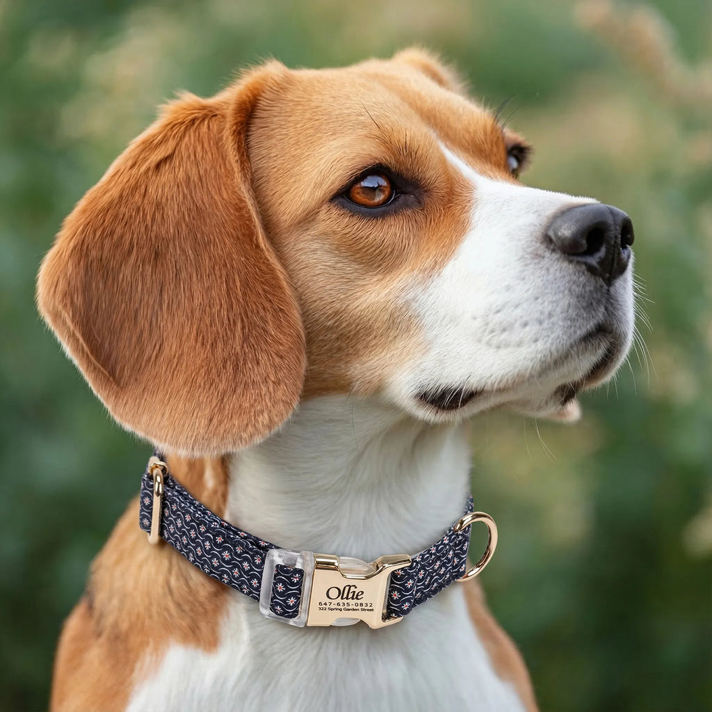 100% Cotton Personalized Dog Collar Black Metal Engraved Black Heritage Red dog wears a collar with gold buckle