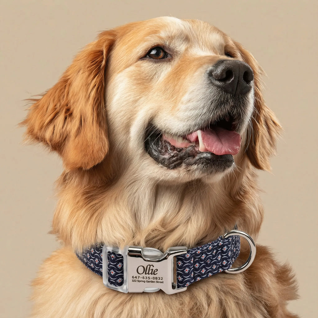 100% Cotton Personalized Dog Collar Black Metal Engraved Black Heritage Red dog wears a collar with brass buckle