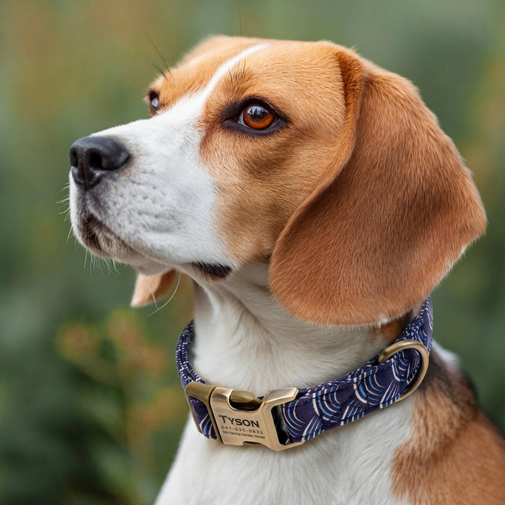 100% Cotton Personalized Dog Collar Black Metal Engraved Black Moon Tide dog wears a collar with brass buckle