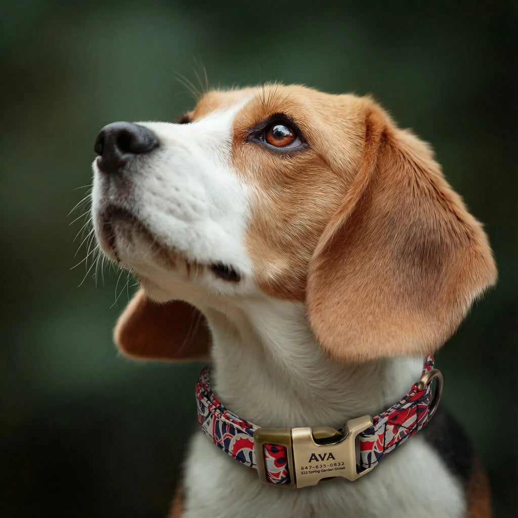 100% Cotton Personalized Dog Collar Black Metal Engraved Black Impressionist dog wears a collar with brass metal buckle