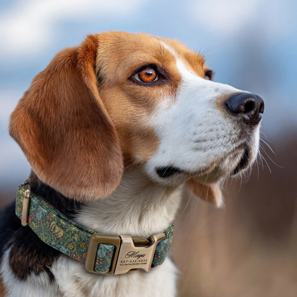 100% Cotton Personalized Dog Collar Black Metal Engraved Black  Golden Lily dog wears a collar with brass buckle