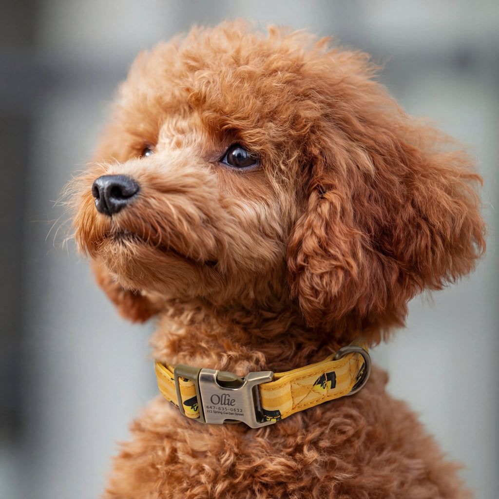 100% Cotton Personalized Dog Collar Engraved Rose Gold Harry Potter Hufflepuff Pride dog wears the collar with brass metal buckle