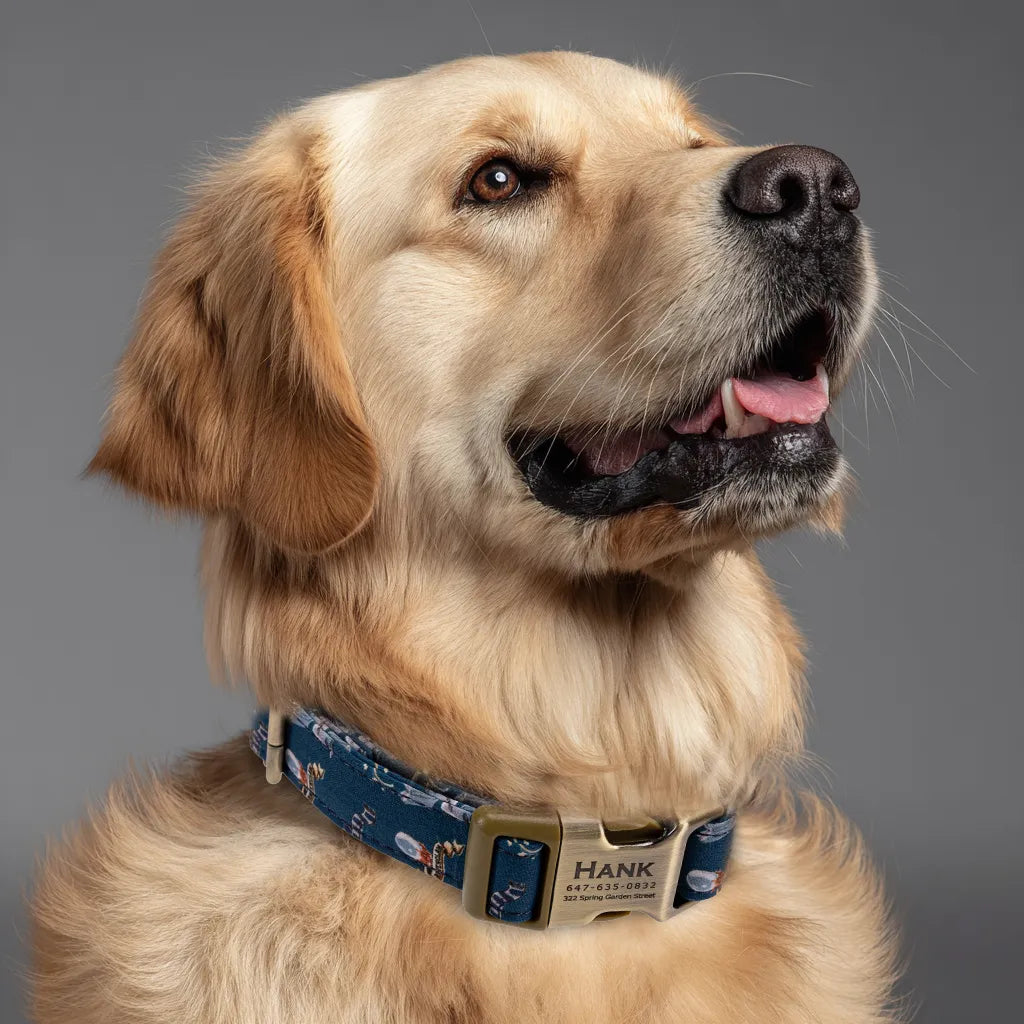 100% Cotton Personalized Dog Collar Engraved Rose Gold Harry Potter Ravenclaw House dog wears the collar with brass buckle