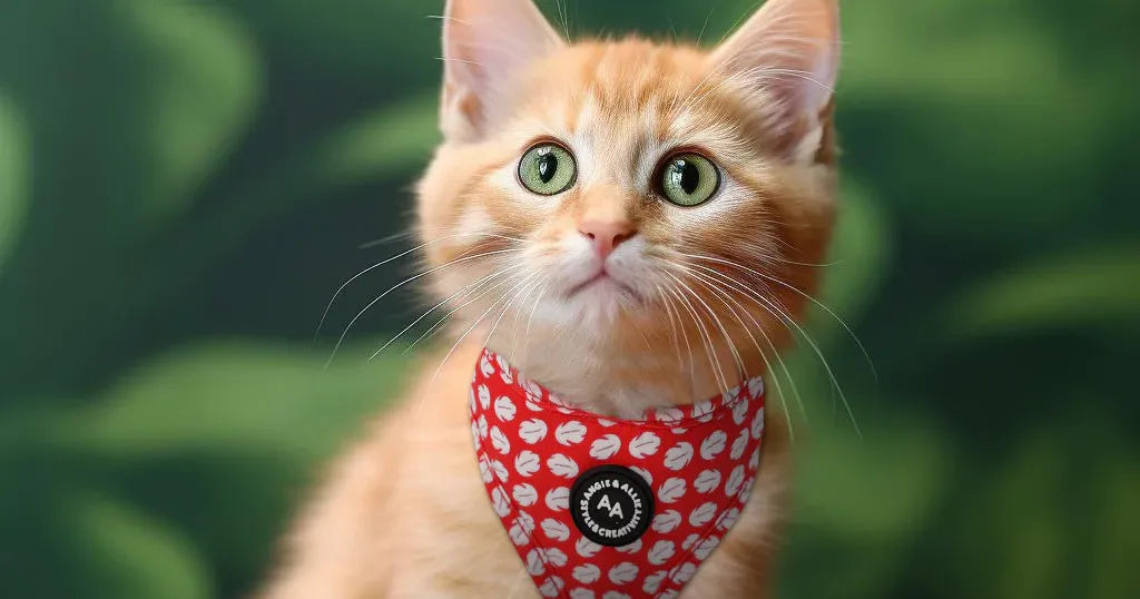 Cat wearing a Lilo & Stitch Lilo Hawaiian Dress pattern harness with a blurred green background