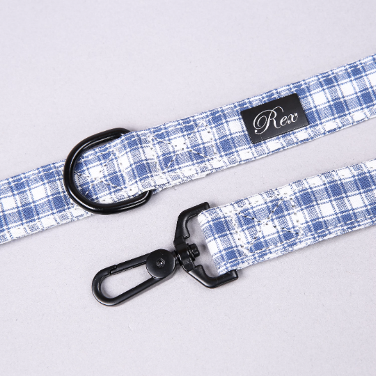 personalized dog leashes