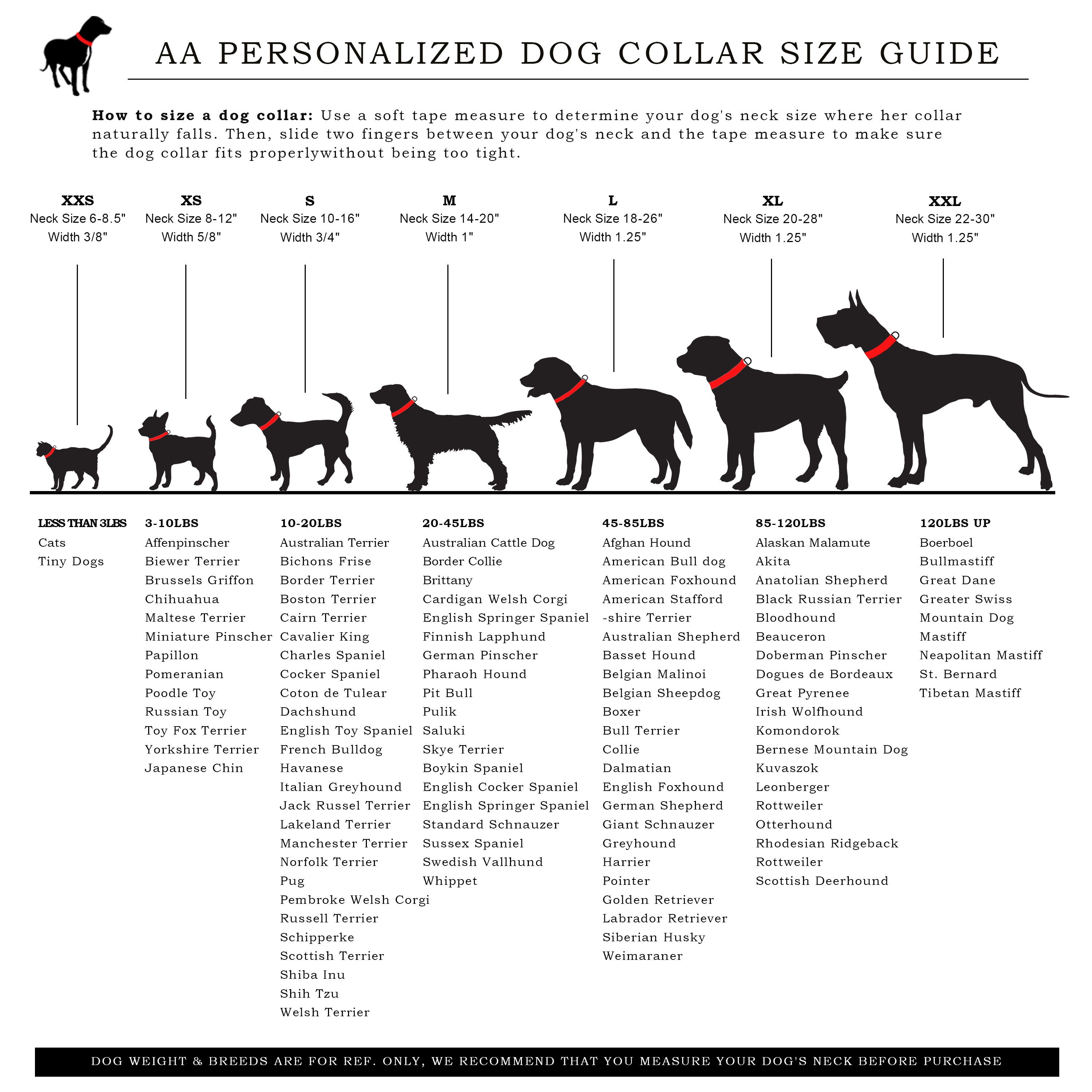 Australian Shepherd Dogs 101 Bernese Mountain Dog Weight Chart