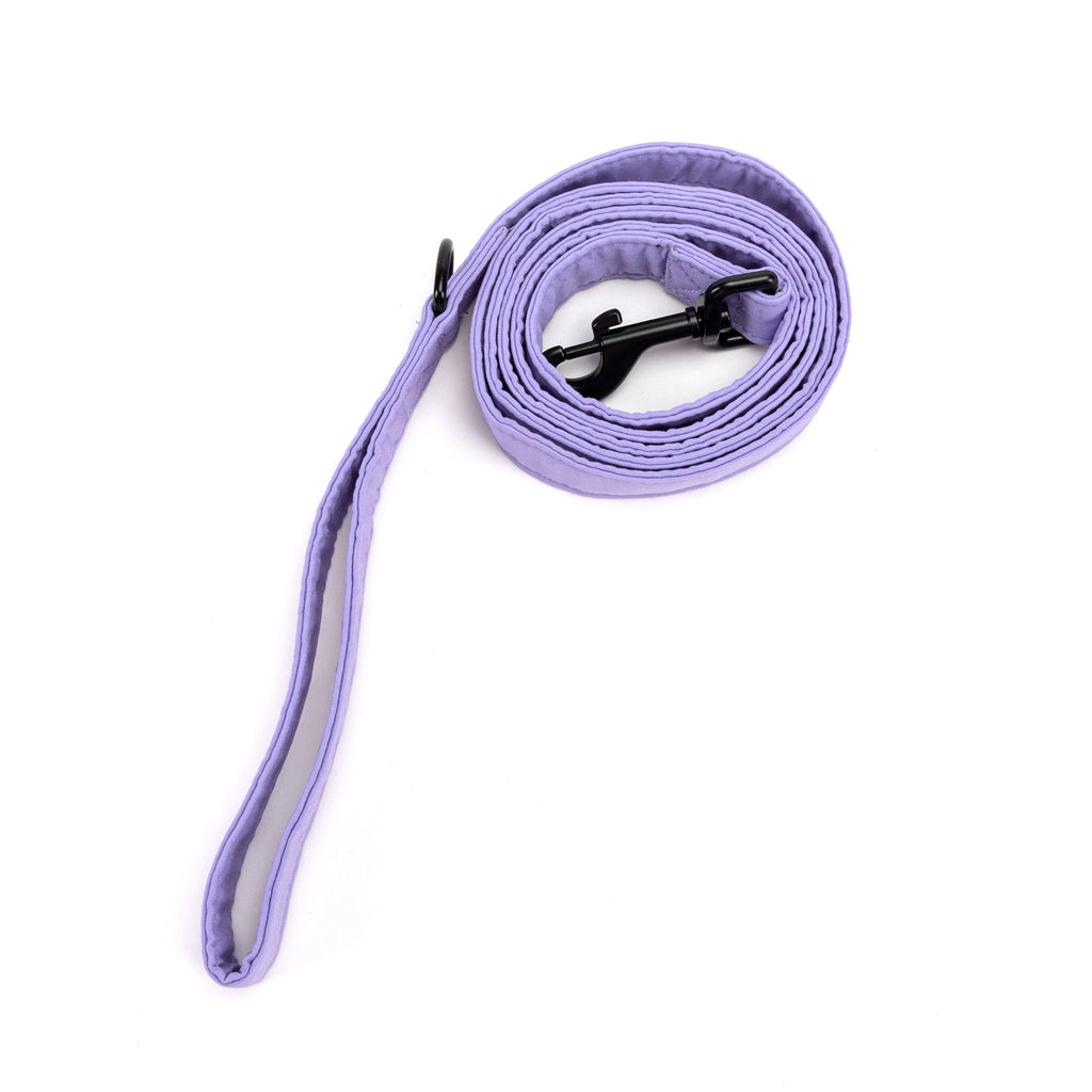 100% Cotton Adjustable Dog Leash Black Lavender rolled