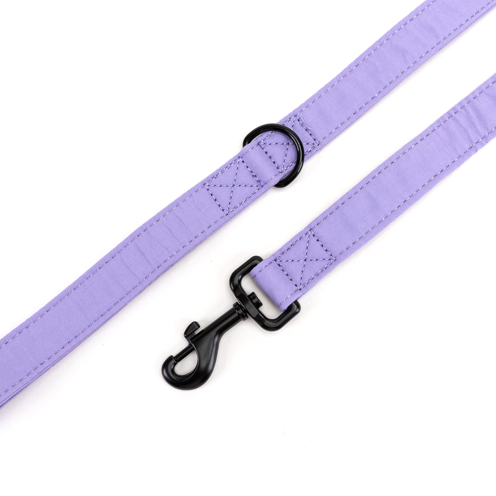 100% Cotton Adjustable Dog Leash Black Lavender hardware