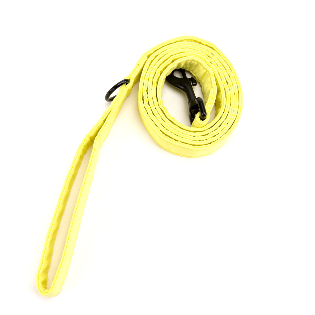 100% Cotton Adjustable Dog Leash Black Lemon rolled