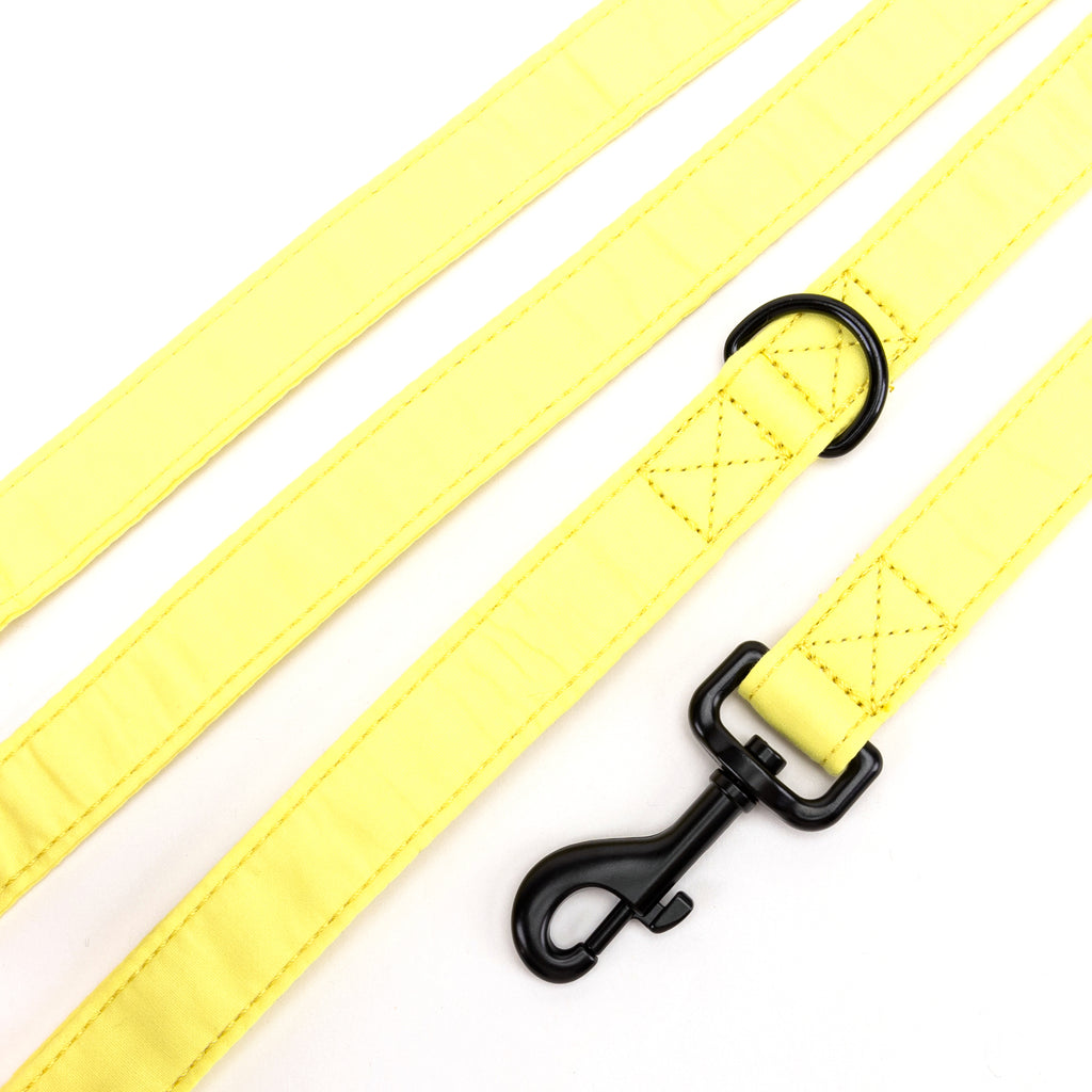 100% Cotton Adjustable Dog Leash Black Lemon detail