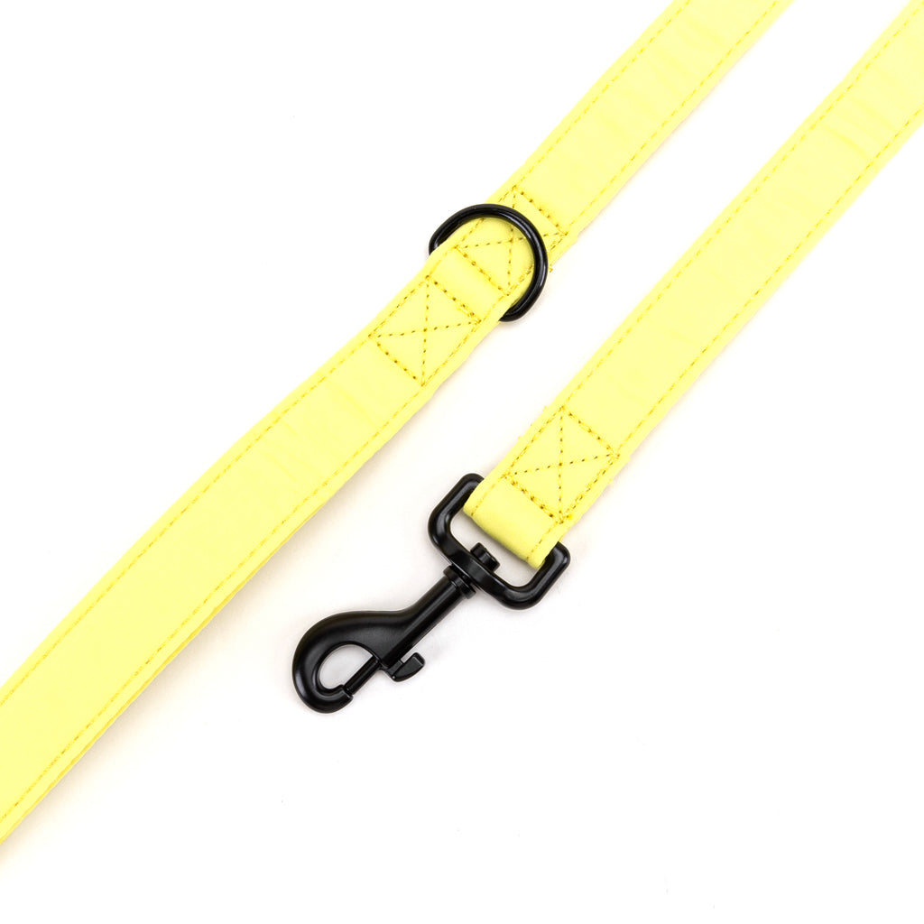 100% Cotton Adjustable Dog Leash Black Lemon hardware