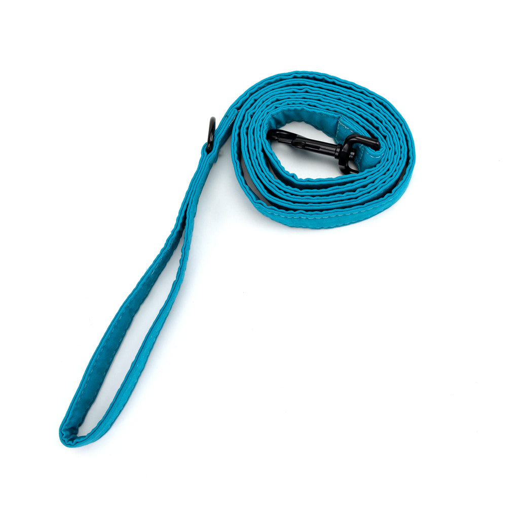 100% Cotton Adjustable Dog Leash Peacock Blue rolled