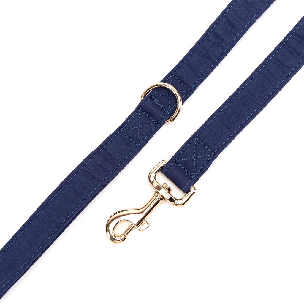 100% Cotton Adjustable Dog Leash Gold  Royal Blue hardware