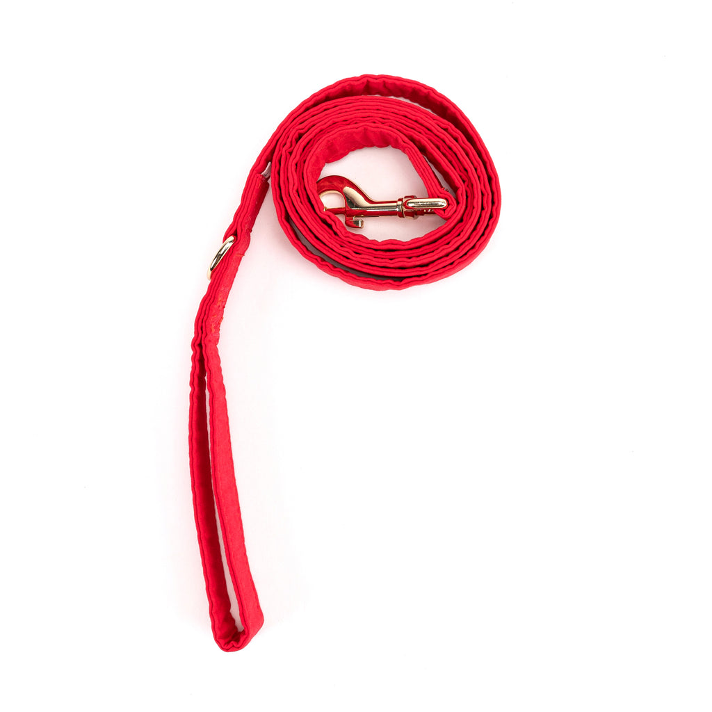 100% Cotton Adjustable Dog Leash Gold  Poinciana Red rolled