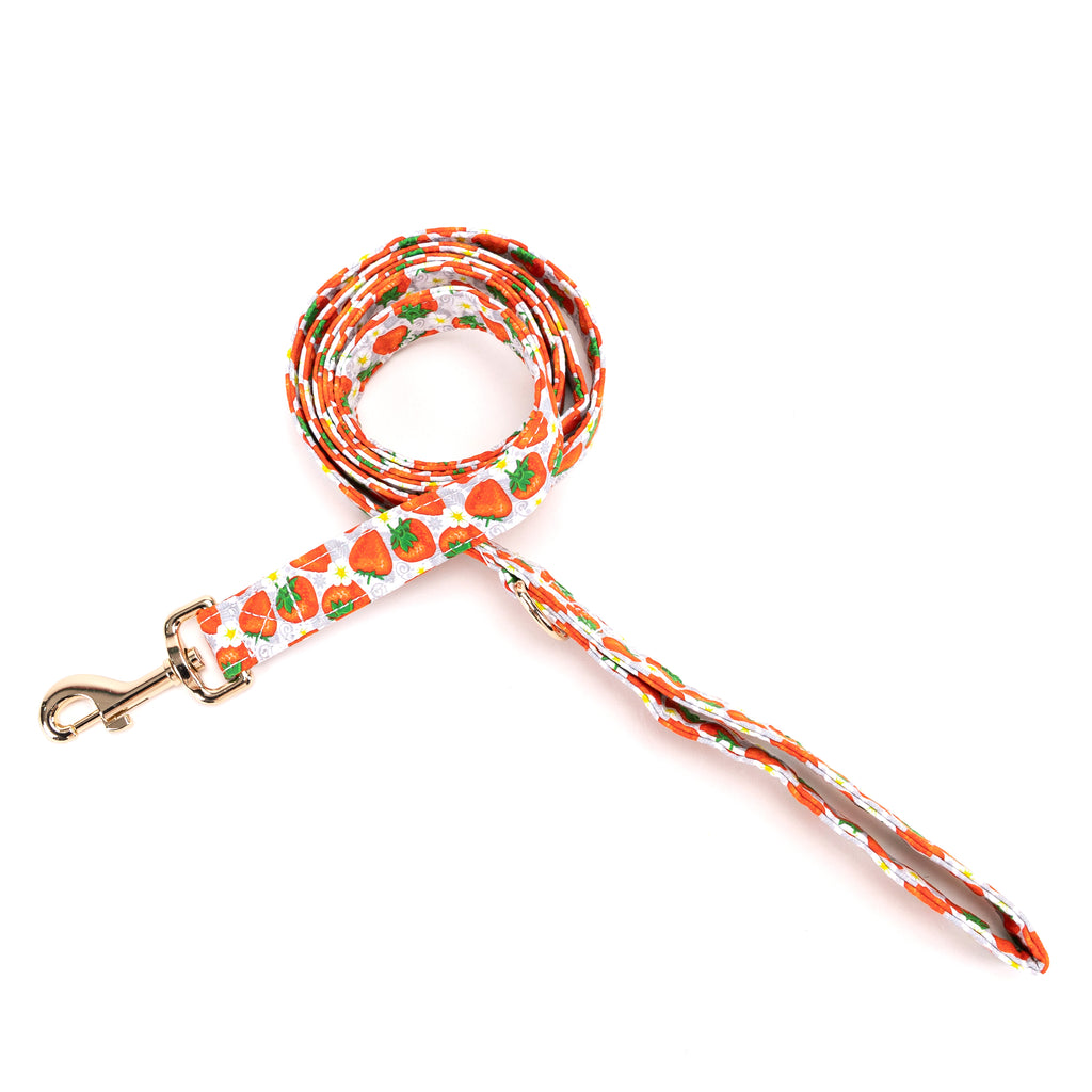 100% Cotton Adjustable Dog Leash Gold  Dancing Strawberries main