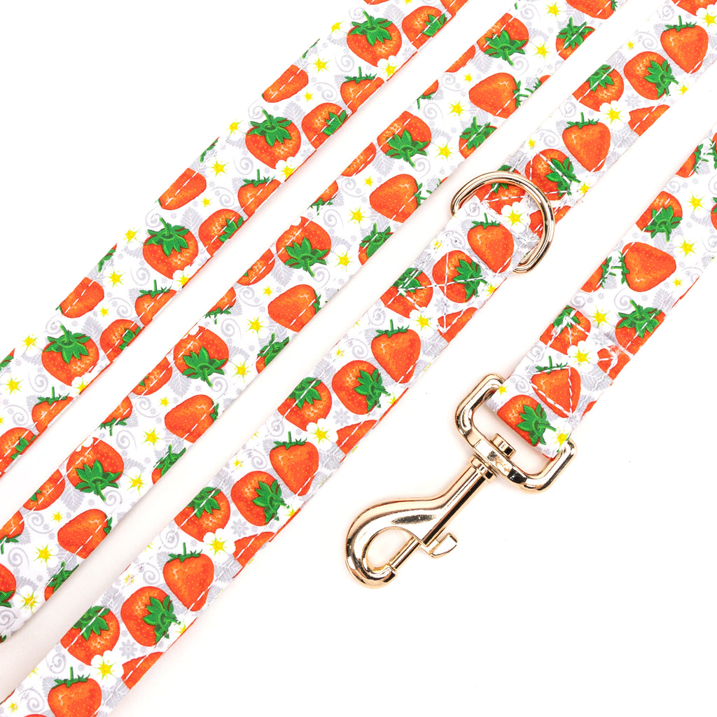 100% Cotton Adjustable Dog Leash Gold  Dancing Strawberries detail