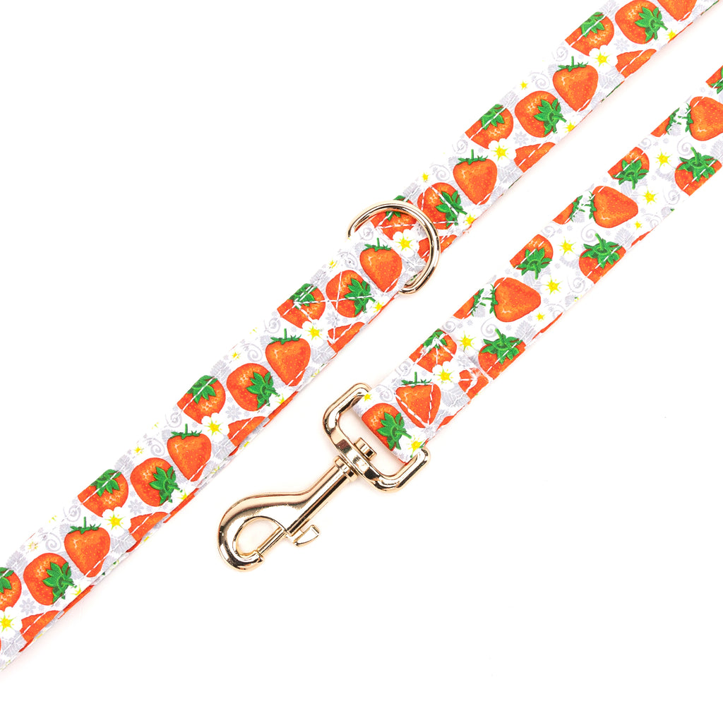 100% Cotton Adjustable Dog Leash Gold  Dancing Strawberries hardware