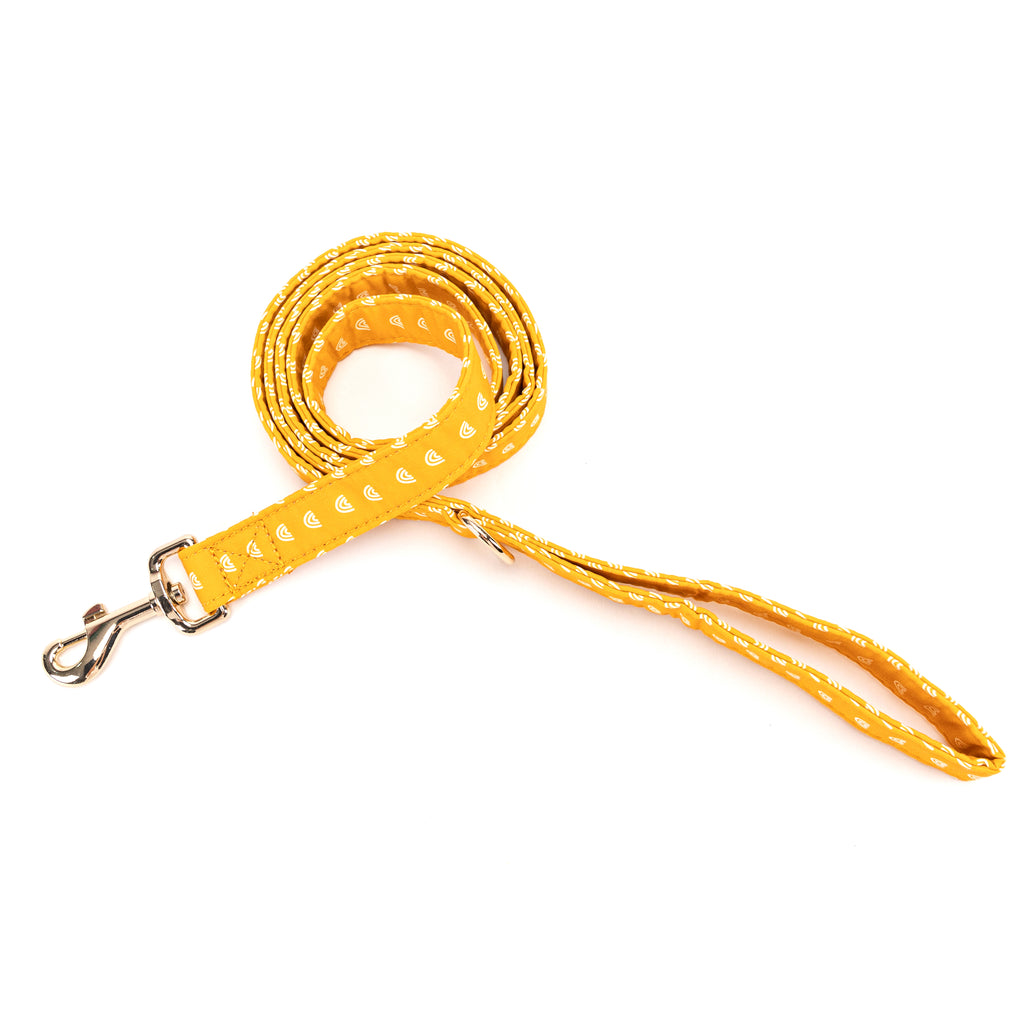 100% Cotton Adjustable Dog Leash Gold  Hobo Rainbow main