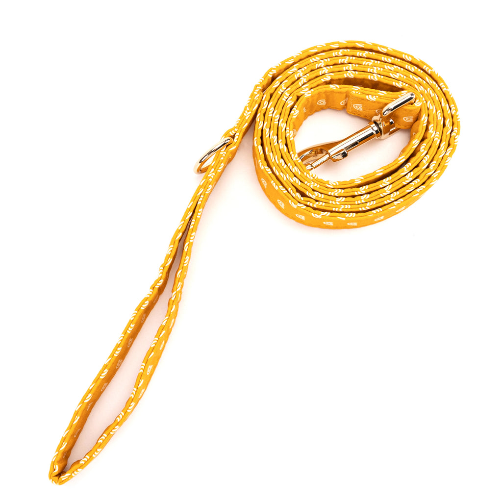 100% Cotton Adjustable Dog Leash Gold  Hobo Rainbow rolled