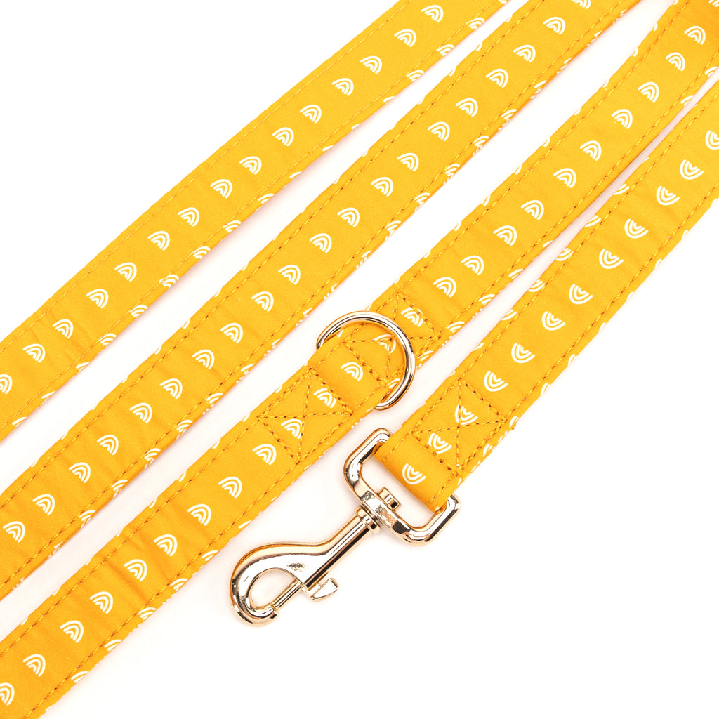 100% Cotton Adjustable Dog Leash Gold  Hobo Rainbow detail