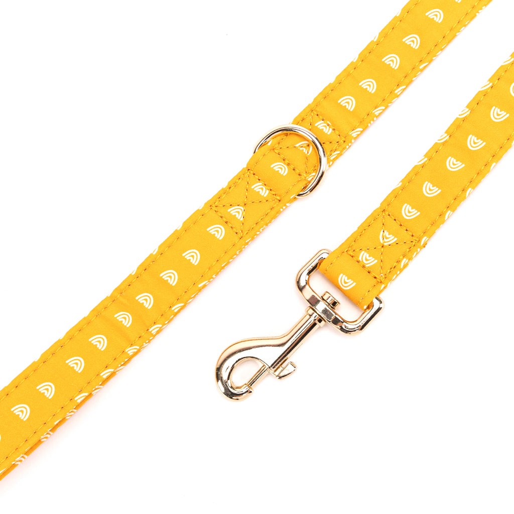 100% Cotton Adjustable Dog Leash Gold  Hobo Rainbow hardware