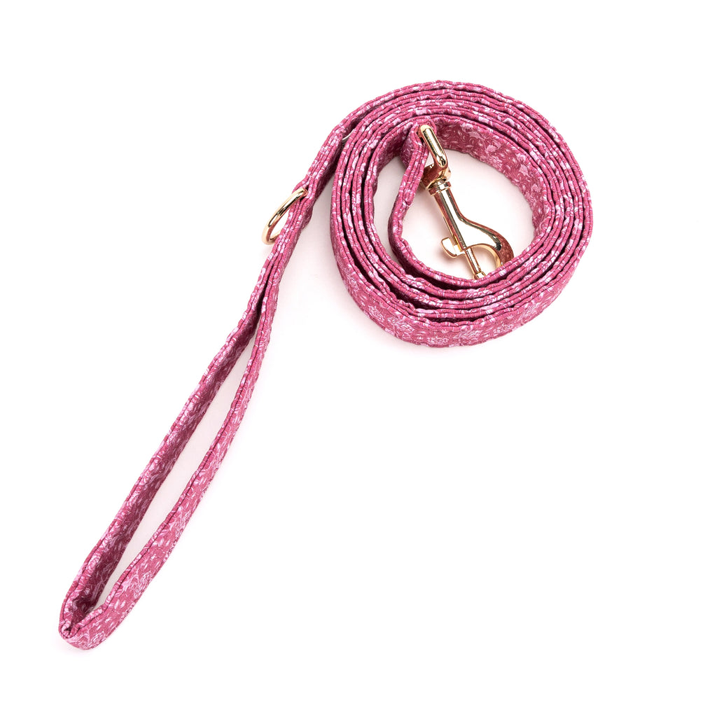 100% Cotton Adjustable Dog Leash Gold  Wild Tulip rolled