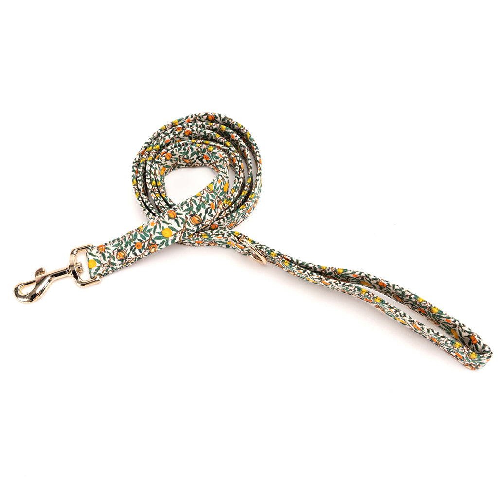 100% Cotton Adjustable Dog Leash Gold   Pomegranate main