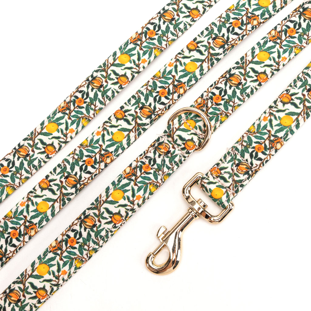 100% Cotton Adjustable Dog Leash Gold   Pomegranate detail
