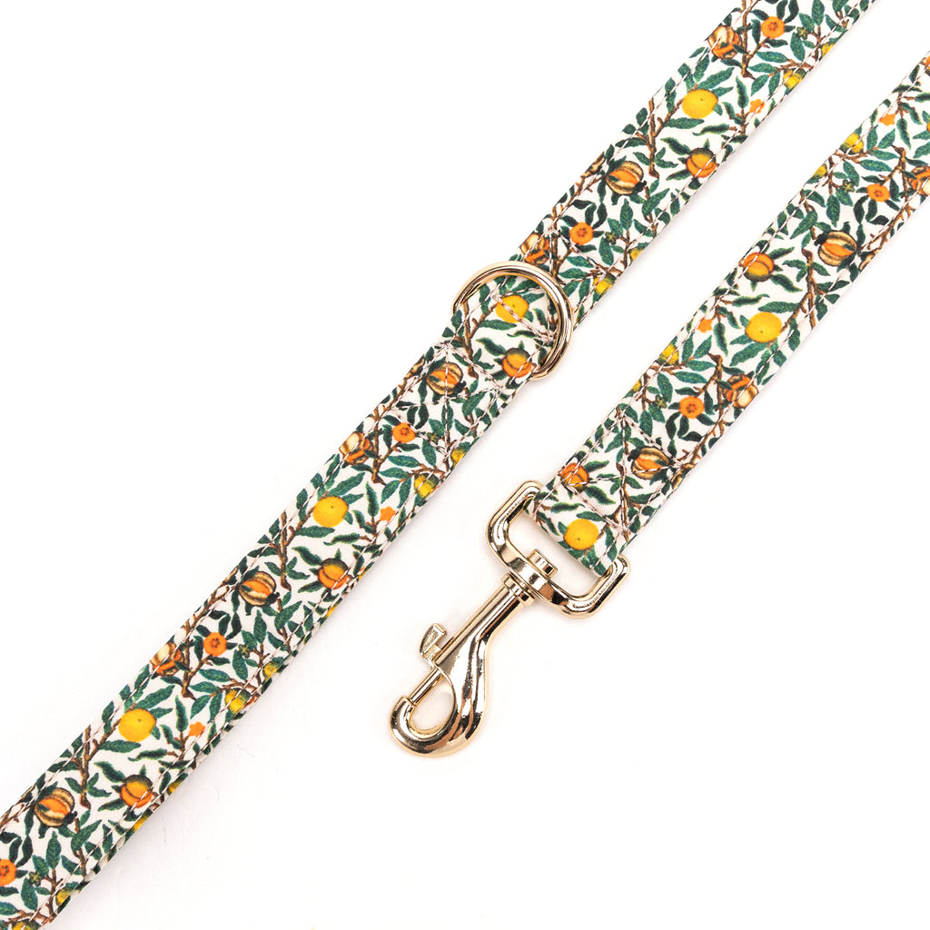 100% Cotton Adjustable Dog Leash Gold   Pomegranate hardware