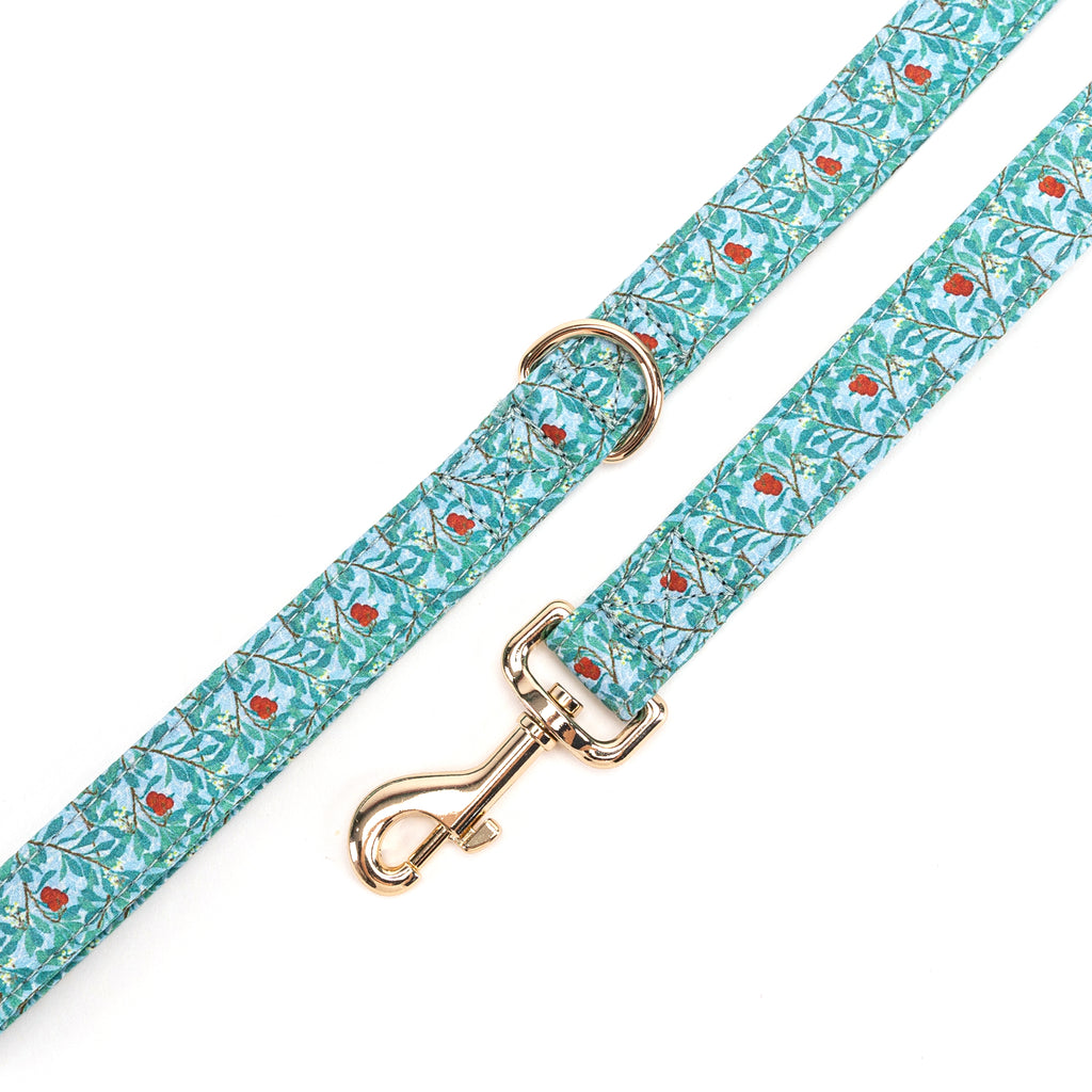 100% Cotton Adjustable Dog Leash Gold  Arbutus hardware