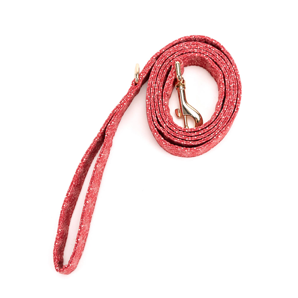 100% Cotton Adjustable Dog Leash Gold  Larkspur rolled