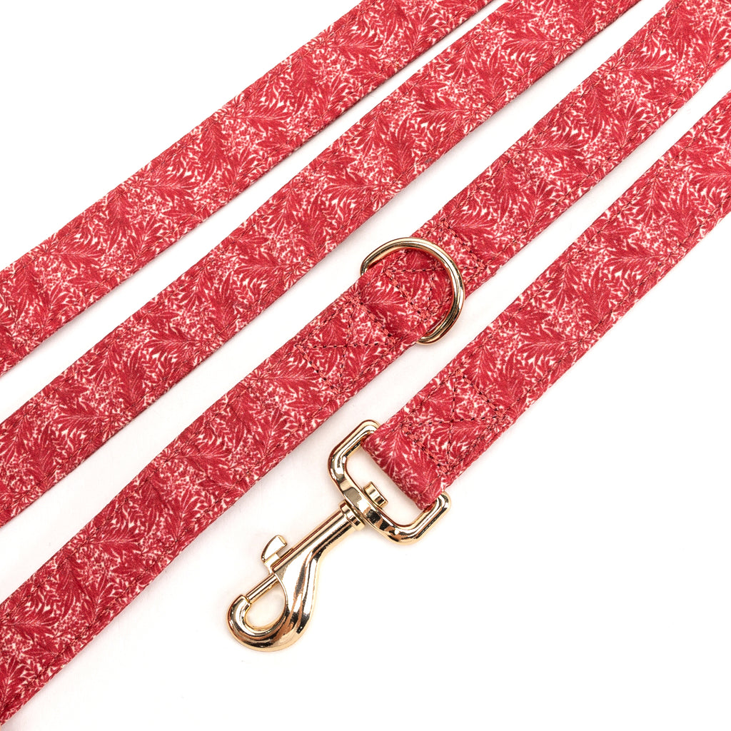 100% Cotton Adjustable Dog Leash Gold  Larkspur detail