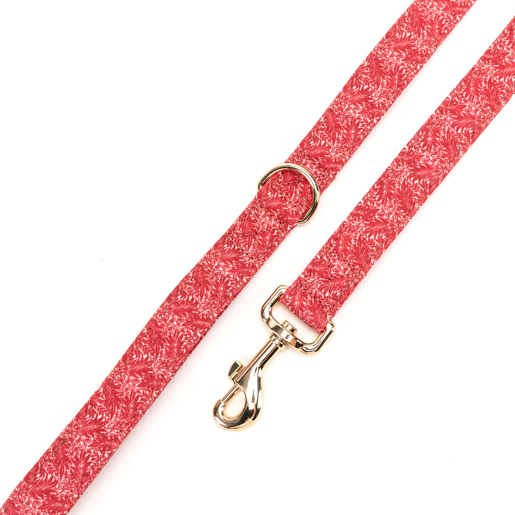 100% Cotton Adjustable Dog Leash Gold  Larkspur hardware