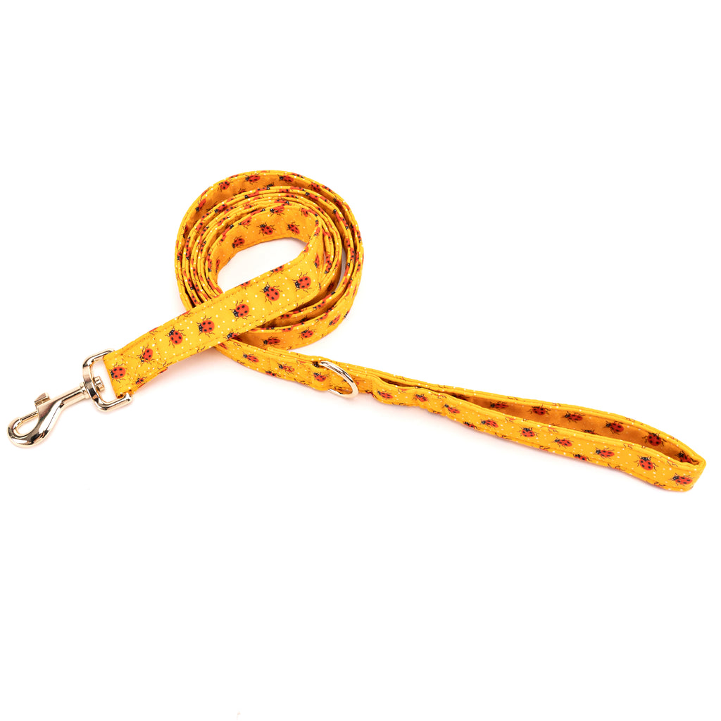 100% Cotton Adjustable Dog Leash Gold Ladybug main