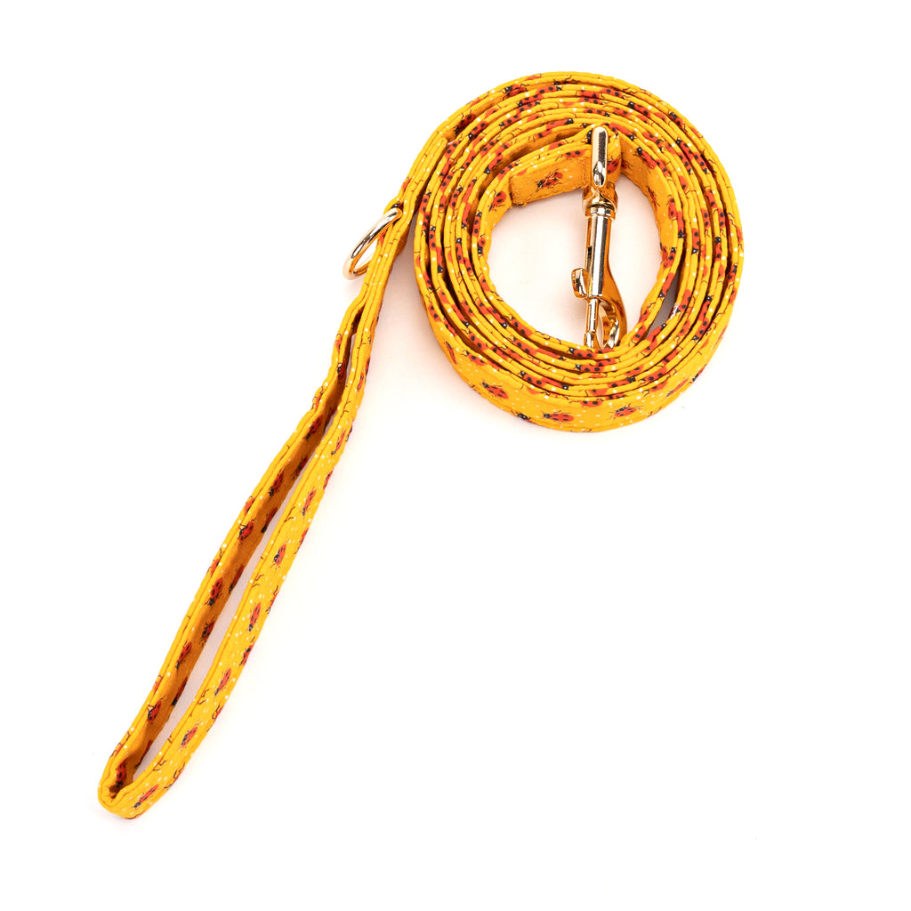 100% Cotton Adjustable Dog Leash Gold Ladybug rolled
