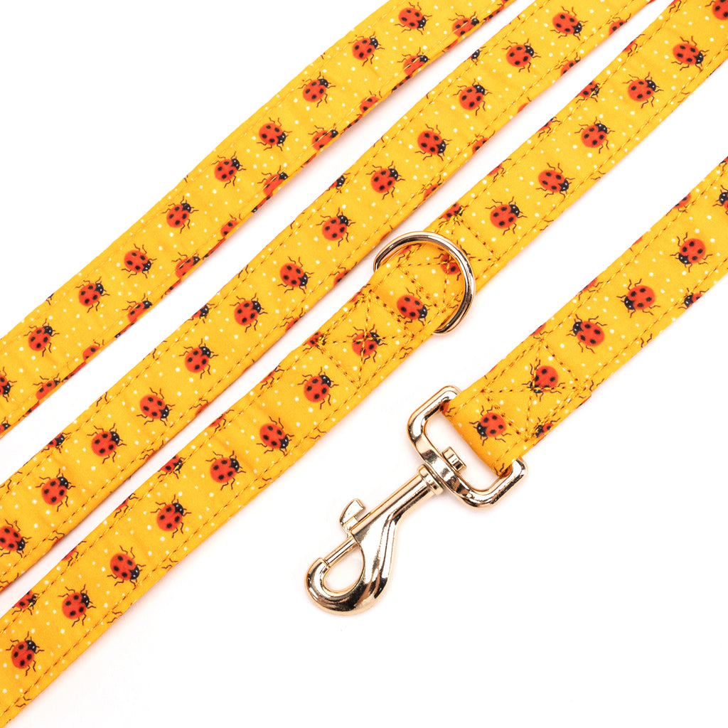100% Cotton Adjustable Dog Leash Gold Ladybug detail