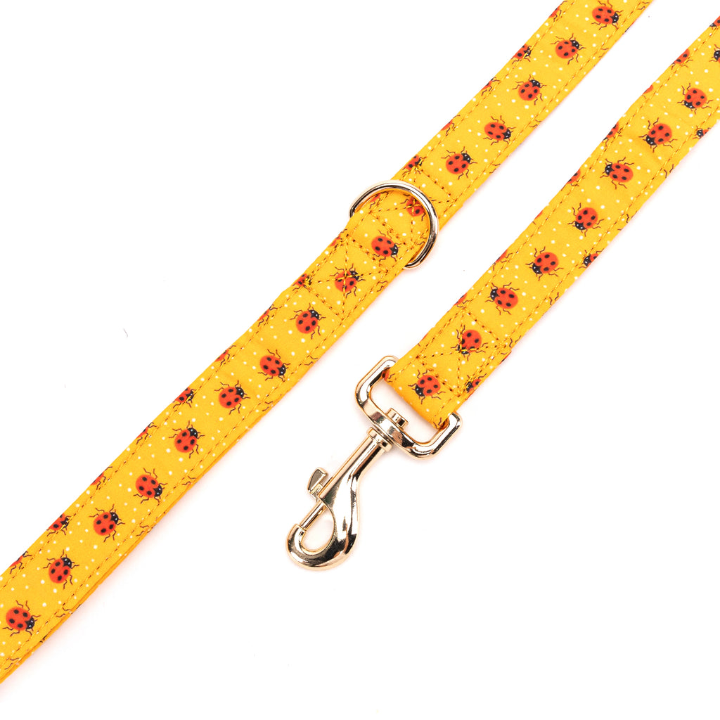 100% Cotton Adjustable Dog Leash Gold Ladybug hardware