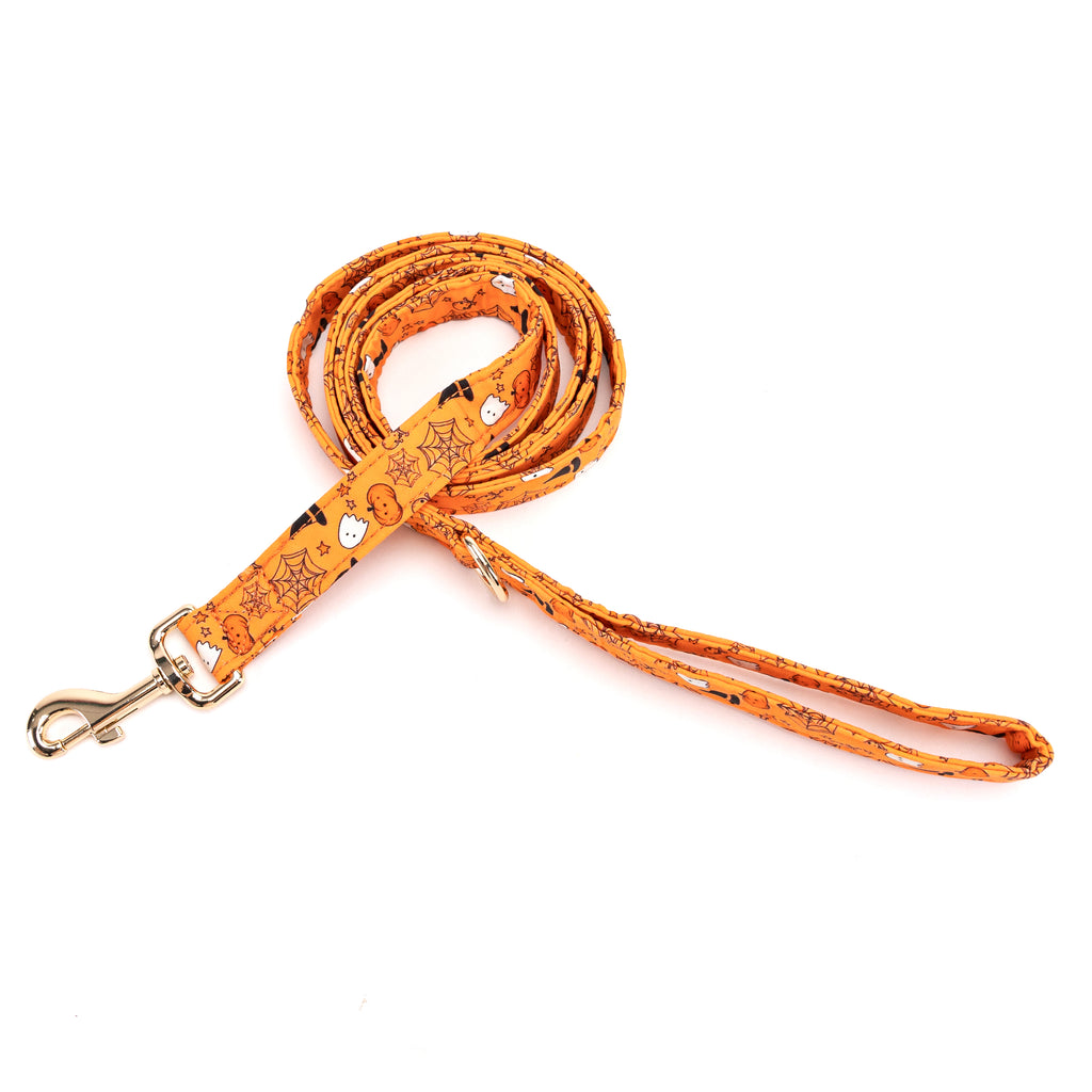 100% Cotton Adjustable Dog Leash Gold   Magic Halloween main