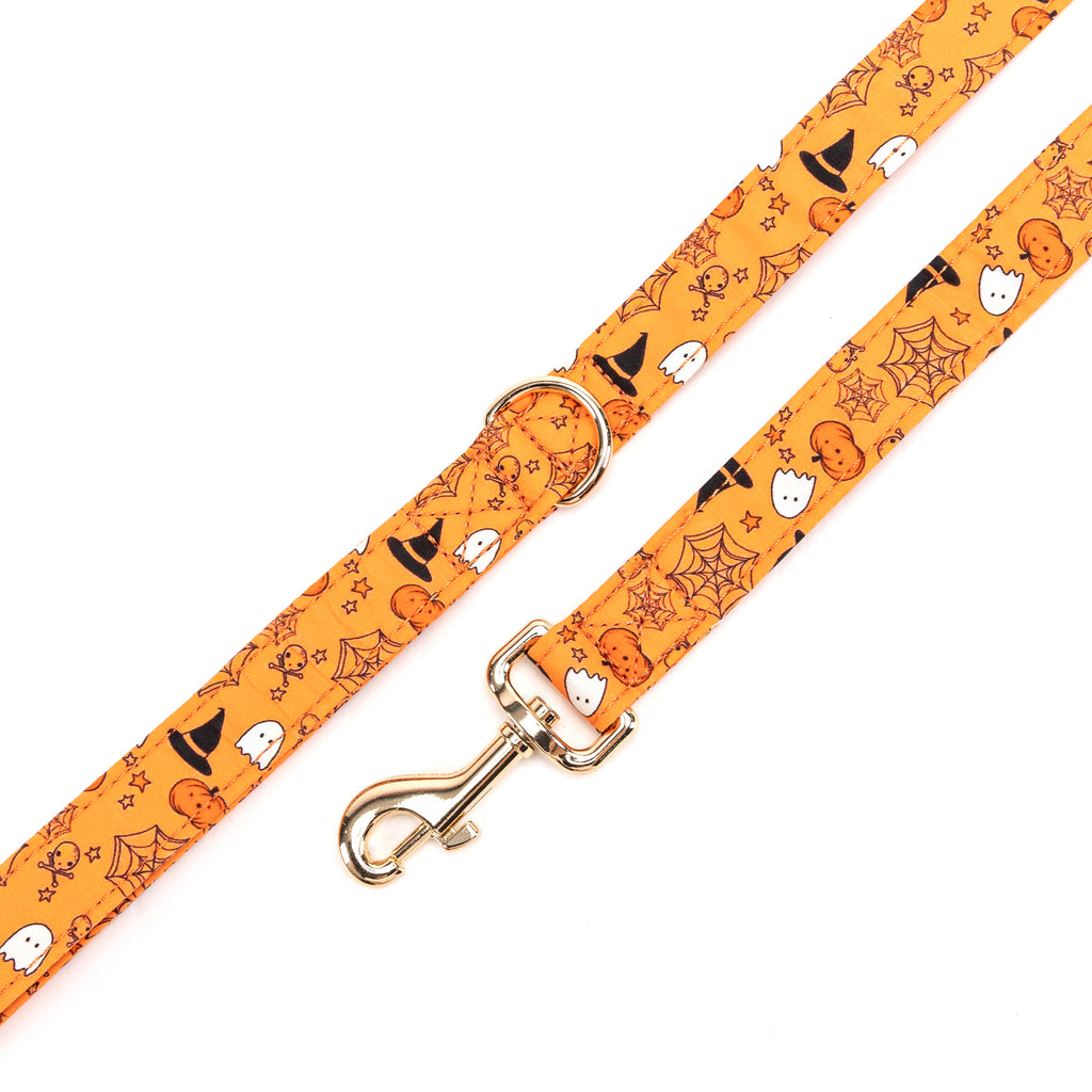100% Cotton Adjustable Dog Leash Gold   Magic Halloween hardware