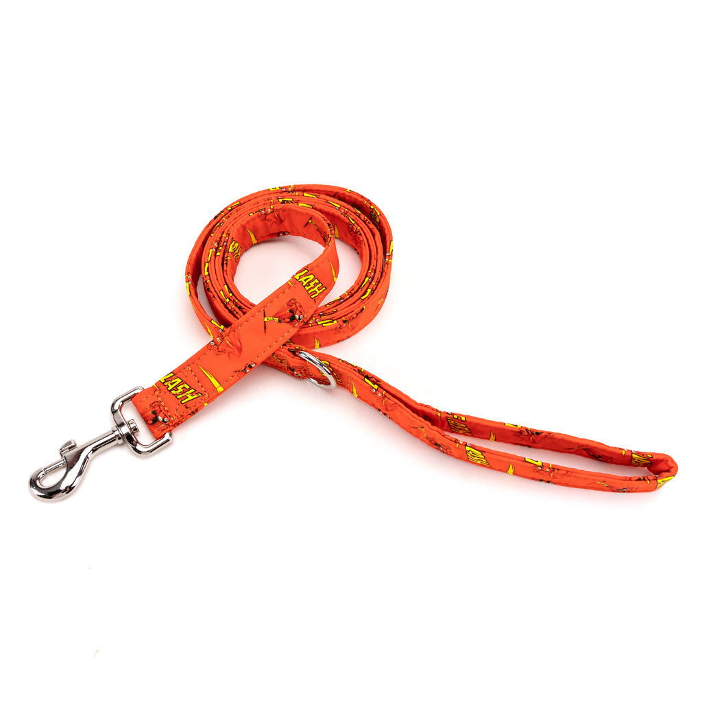 100% Organic Cotton Dog Leash Silver The Flash main