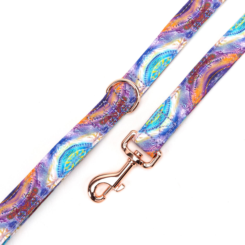 100% Cotton Adjustable Dog Leash Aurora hardware
